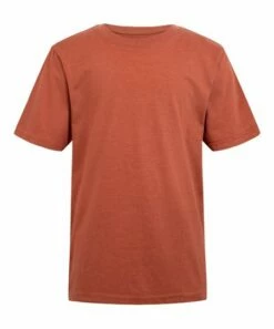 Discount 🌟 Lucky Brand Burnt Brick Heather Key Solid Tee - Boys For Kids 🔔