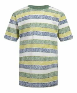 Buy 🔥 Lucky Brand Earth Green Heather & Blue Cozy Stripe Tee - Boys For Kids 😉